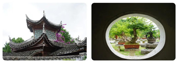 多彩貴州，魅力天下，2021年廣東博皓快樂貴州行-14