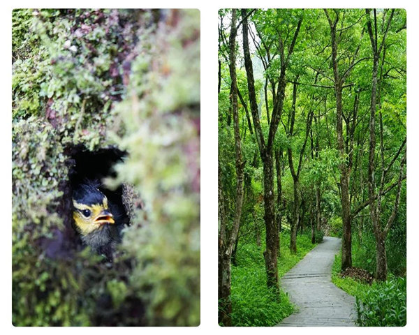 多彩貴州，魅力天下，2021年廣東博皓快樂貴州行-24