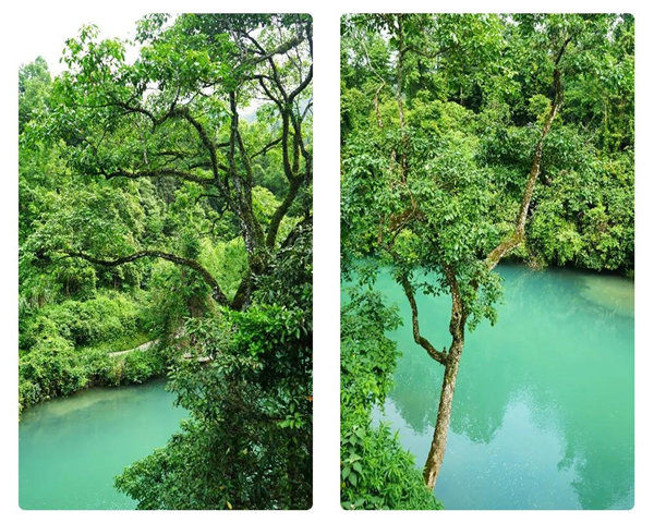 多彩貴州，魅力天下，2021年廣東博皓快樂貴州行-29