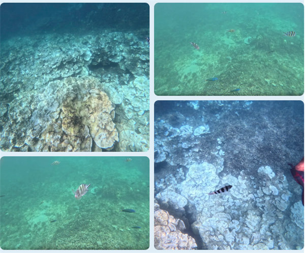 風(fēng)雨兼程二十載，馬來之旅續(xù)新篇&mdash;&mdash;2024年博皓沙巴風(fēng)情之旅     -6